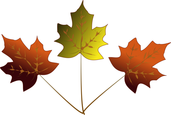 inkscape drawing of 3 maple leaves